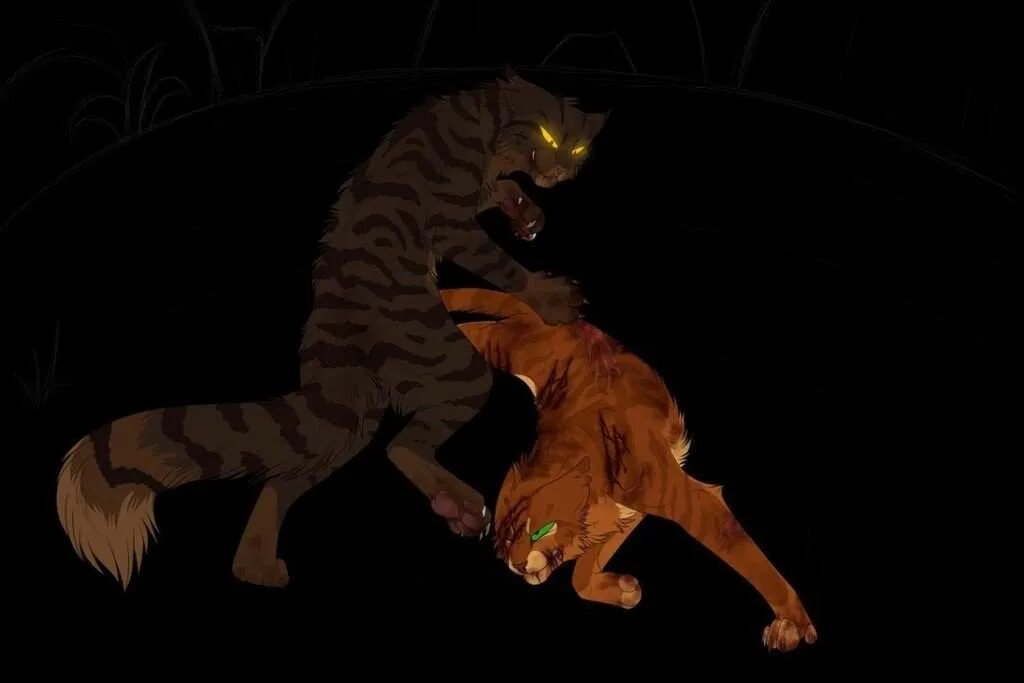 коты воители драки. коты воители огнезвëзд и звездоцап. коты воители драки. коты воители драки. коты воители синяя звезда и остролистая.