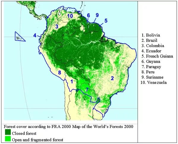 обезлесение бразилии. площадь вырубаемых лесов в странах южной америки. тропические леса амазонки в бразилии. вырубка лесов амазонии. сокращение площади лесов.
