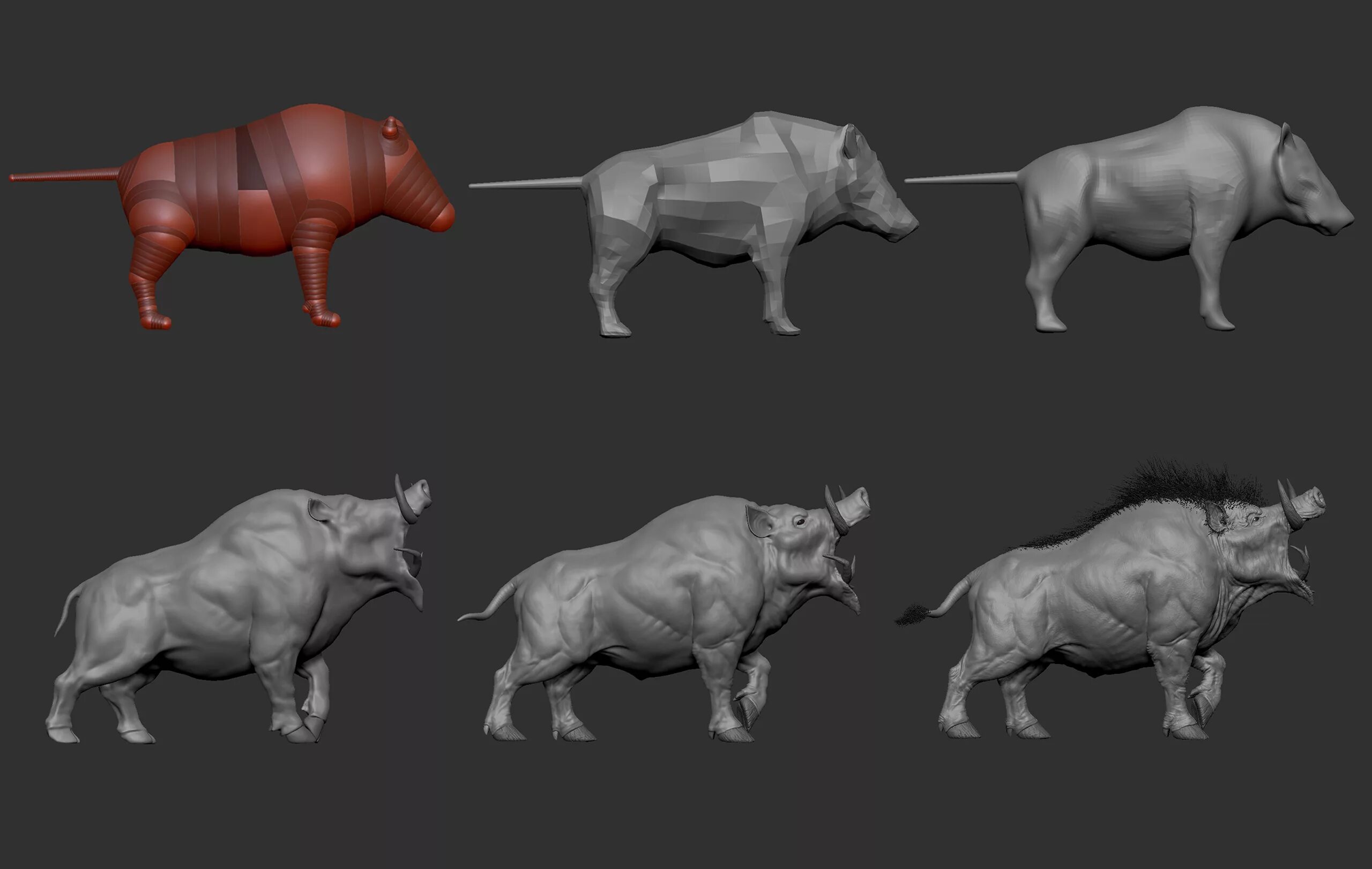 Модель кабана. Анатомия кабана. Кабан моделька. Кабан 3d max. Кабан 3d model.