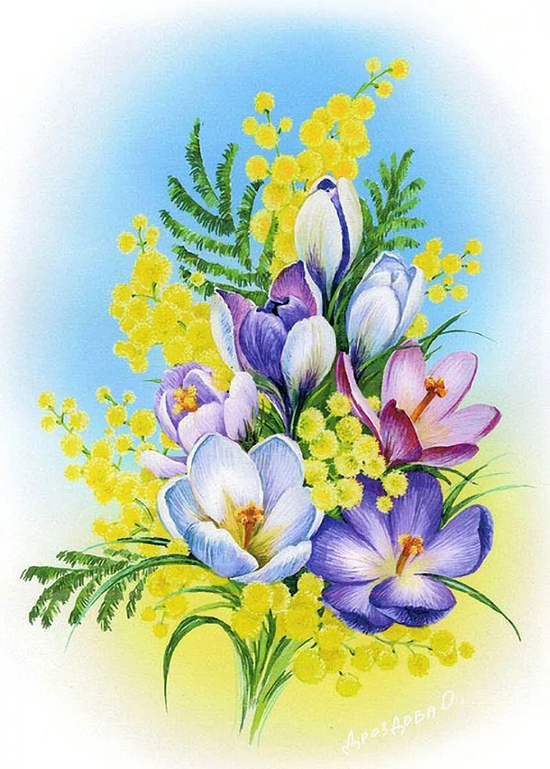 Мимоза тюльпаны подснежники. Цветок Крокус и мимозу. Весенний букет. Весенние цветы иллюстрация. Нарисовать весенний букет