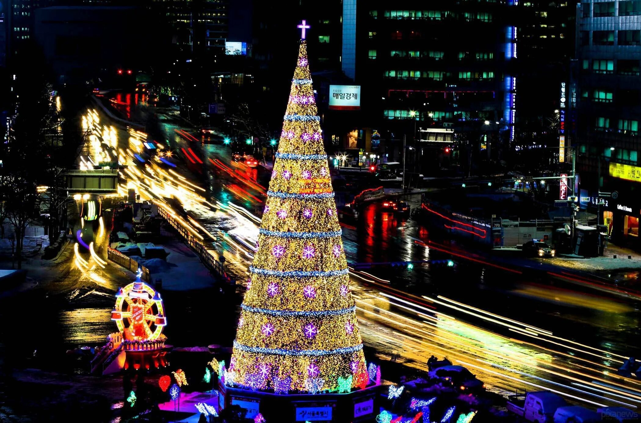 Южная Корея ёлка в Сеуле. Новогодняя ёлка в Южной Корее. Елка в Хайфе 2022. Новогодняя елка. Сильный новый год