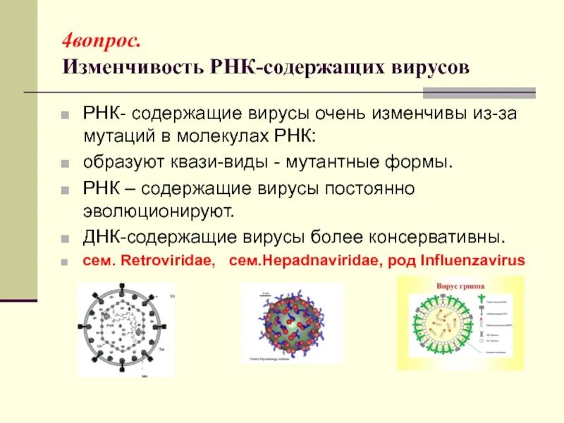 Два днк содержащих вирусов. Онкосодержащие вирусы. Вирусы ДНК содержащие и РНК содержащие. РНК вирусы. ДНК содержащие вирусы и РНК содержащие вирусы.