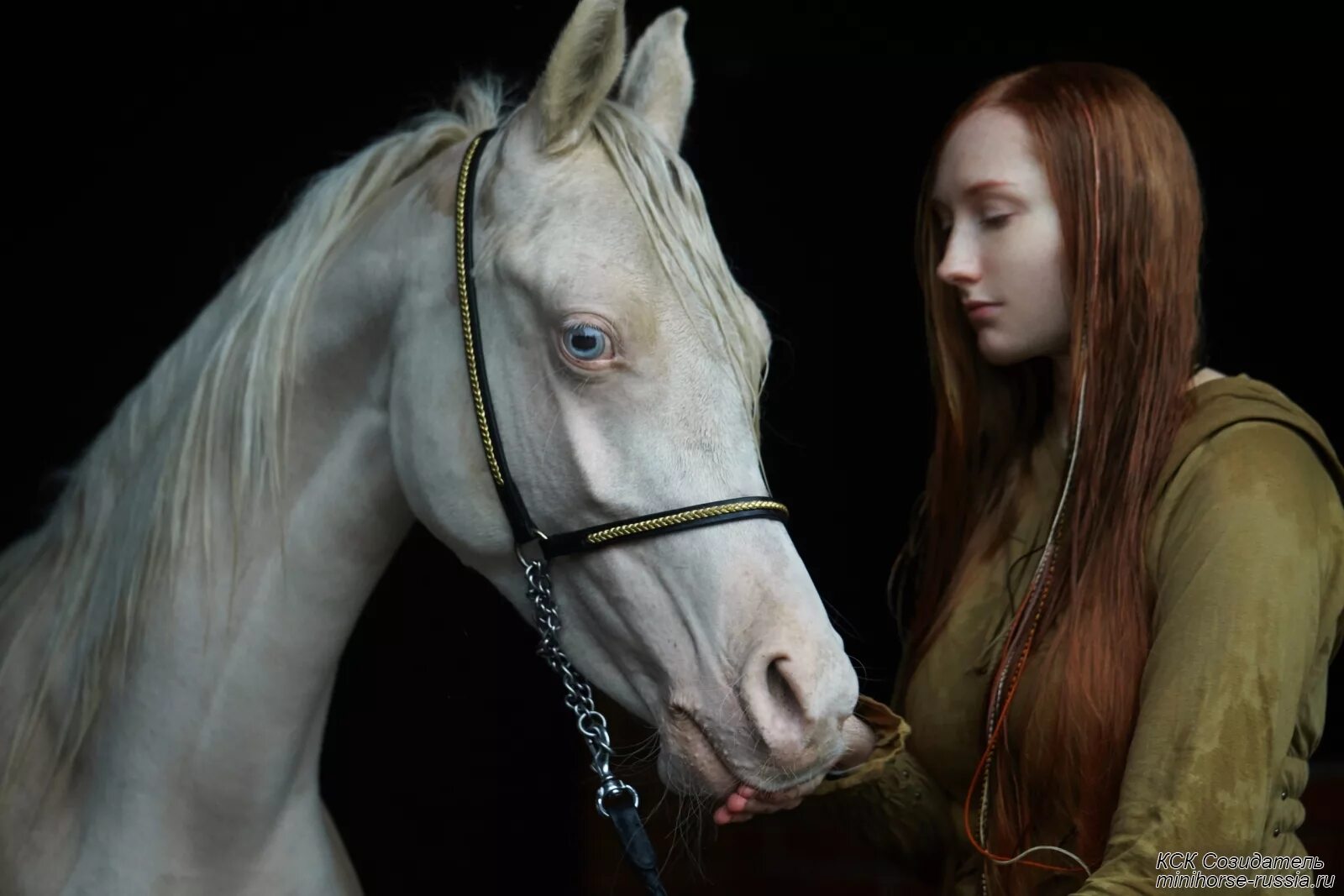 Кск животные. Фотосессия с лошадью историческая. Фотосессия Джоли с лошадью. КСК Созидатель фотосессия арабская. Айдолы в фотосессии с лошадью.