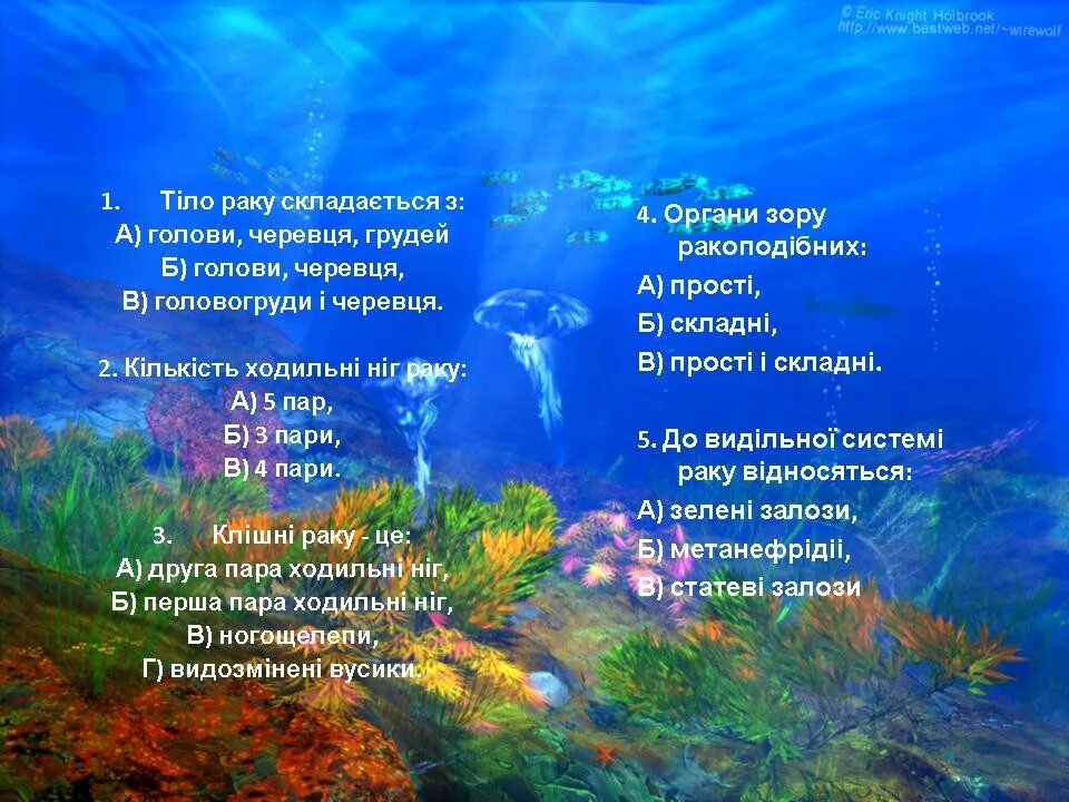 МОРСКИЕ ОБИТАТЕЛИ / Подводный мир / Морские животные для детей - YouTube