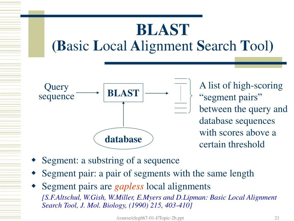 Local search. Blast (basic local alignment search tool). basic local alignment search tool. различия между center и middle align powerpoint. mega x aligned sequences must be equal length.