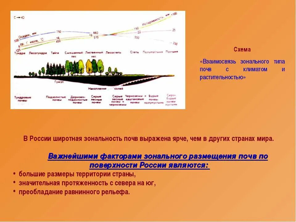 Зональный этап что как и почему