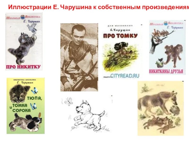 Краткое содержание рассказов чарушина. Иллюстрации к рассказу чарушина томка.