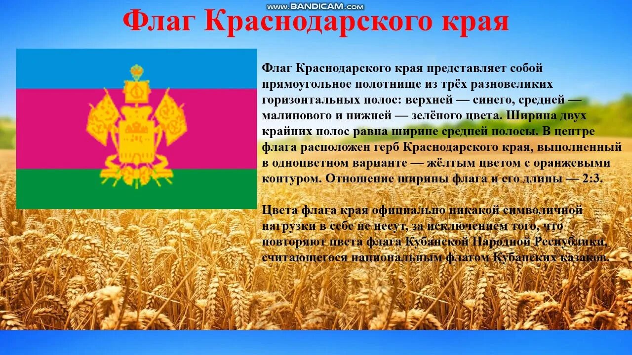 Символы Кубани. Символы Краснодарского края. Описание символики Краснодарского края. Сообщение про краснодарский край