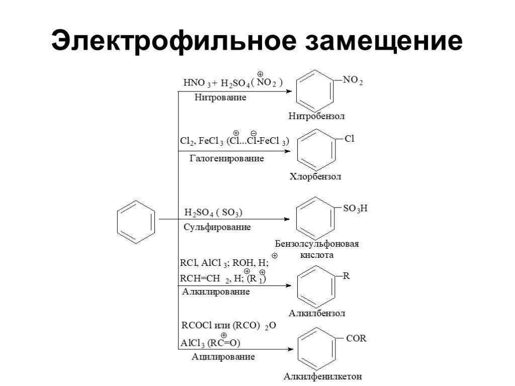 Механизм электрофильного замещения толуола. Алкилирование это Электрофильное замещение. Схема реакции электрофильного замещения. Реакции электрофильного замещения бензола.