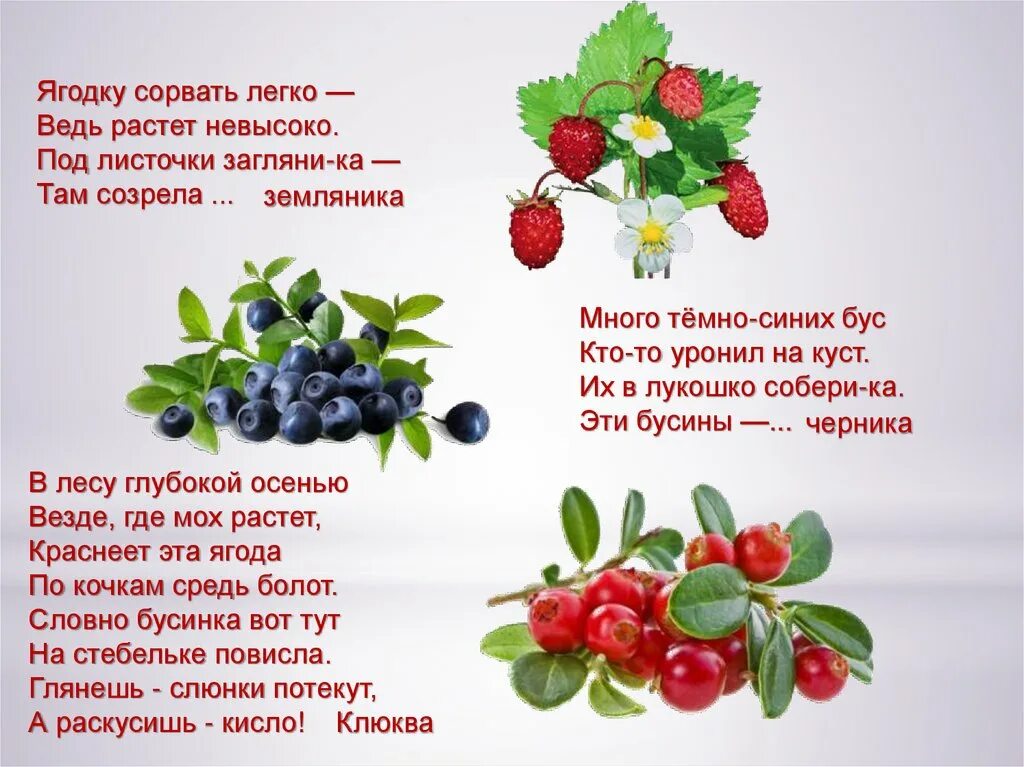 Текст прогулка по майскому лесу дарит много