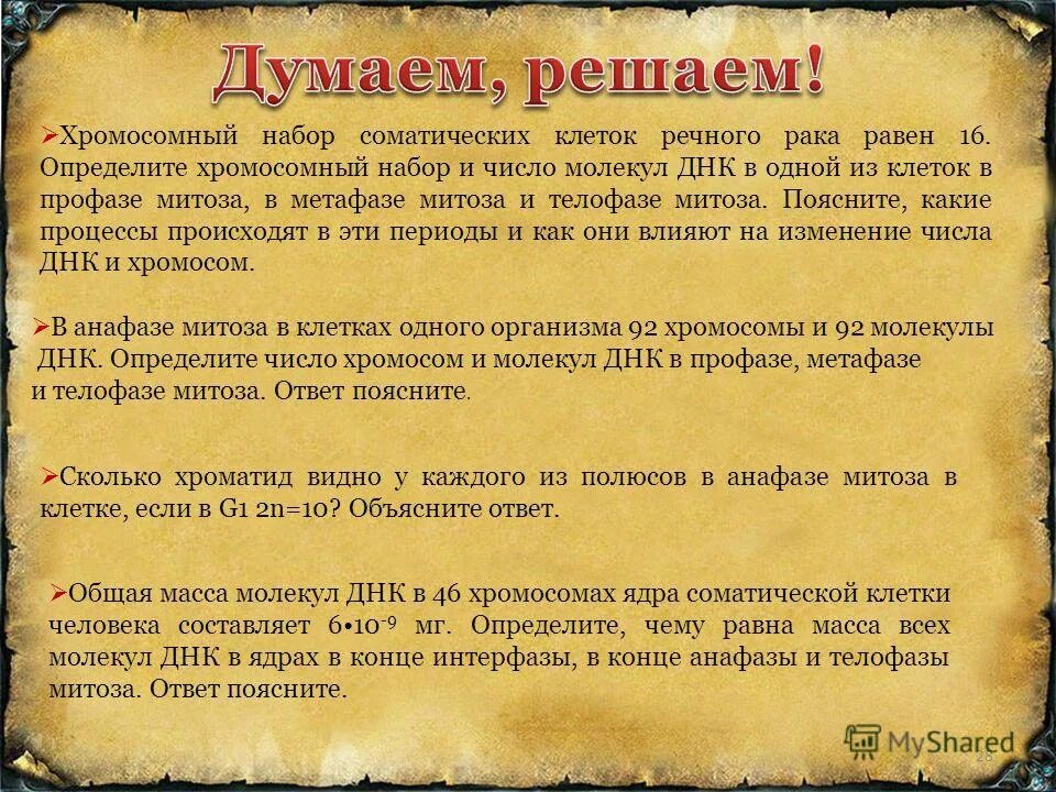 как решать задачи с соматическими клетками. хромосомный набор соматических клеток рака равен 116. хромосомный набор соматических клеток пшеницы равен 28. хромосомный набор клеток пшеницы 28. задачи по цитологии на хромосомный набор.