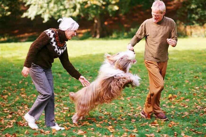Пожилой человек с собакой. Пожилые люди и животные. Пожилые люди и домашние животные. Собака с пожилым человеком.