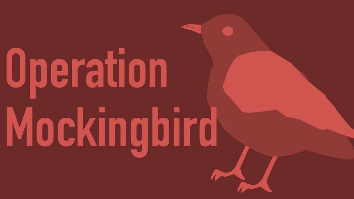 Mocking bird. Operation Mockingbird. Операция пересмешник. Операция пересмешник конспирология. Операция пересмешник Википедия.