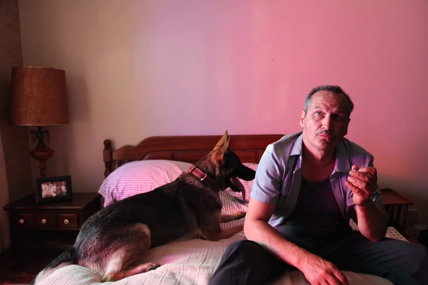 поздние фазы