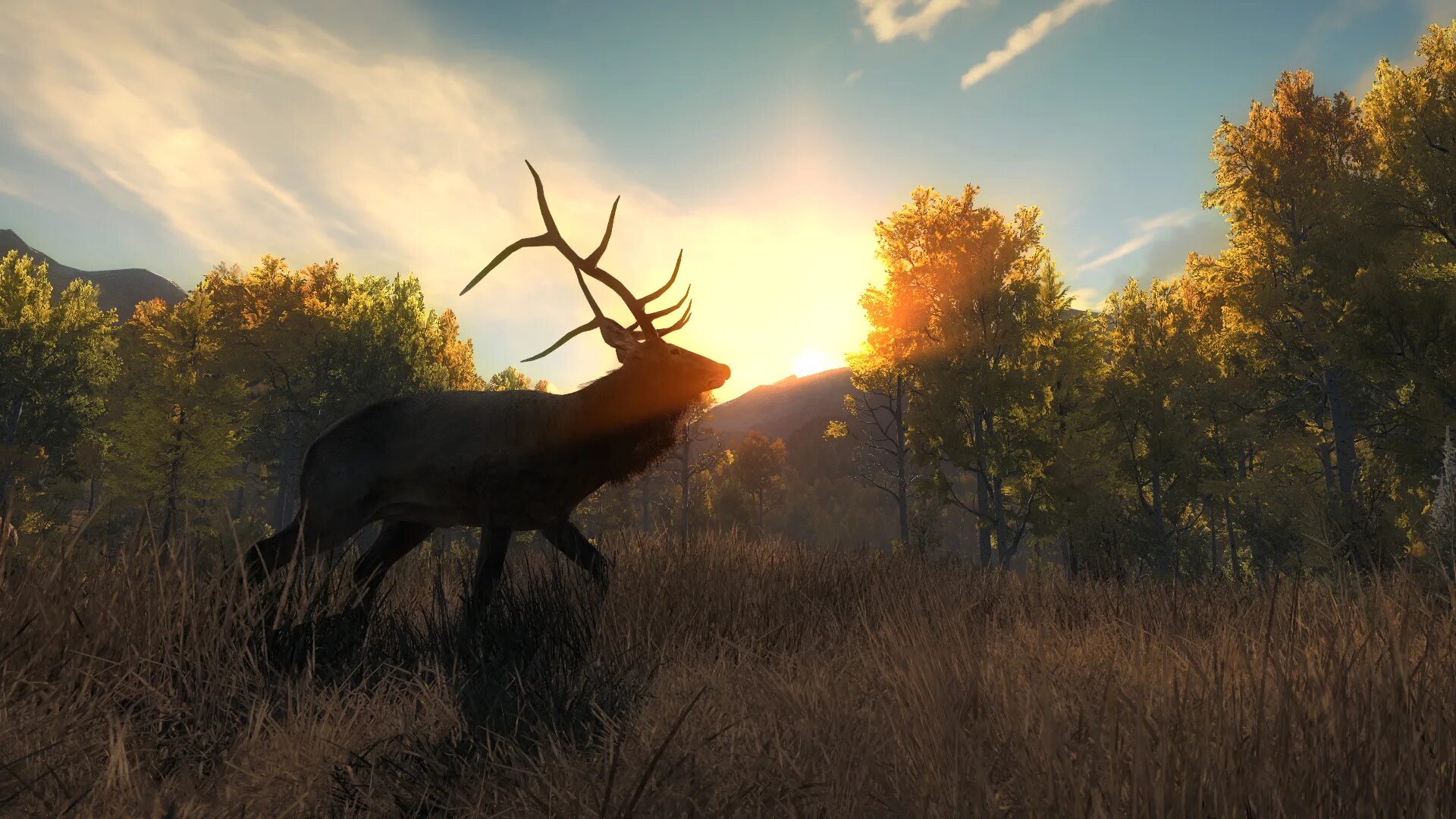 Калл оф вилд. THEHUNTER Classic. Игра охота the Hunter Call of the Wild. Олень Рузвельта the Hunter Call of the Wild. Олень Рузвельта the Hunter Classic.