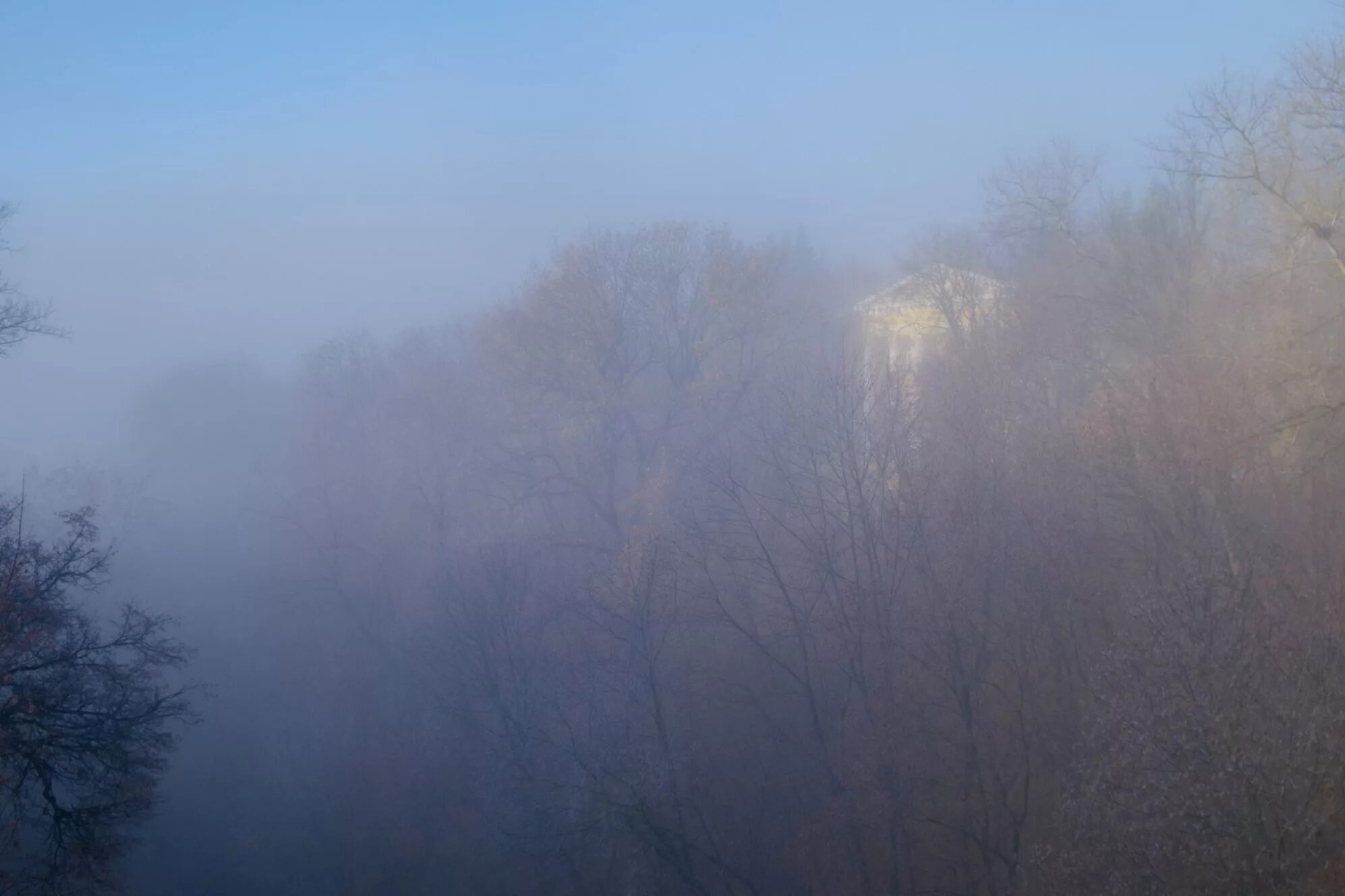 Густой туман тип предложения. Багровый туман в Калуге. Калуга в тумане. Густой туман в городе. Густой туман на реке.