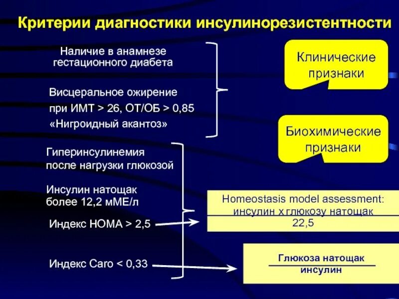 Препараты лечащие инсулинорезистентность. Проявления инсулинорезистентности. симптомы инсулинорезистентности. инсулинорезистентность симптомы у женщин и внешние. инсулинорезистентность признаки.