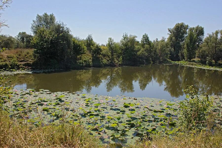 Природный парк ахтубинская пойма. Волго-Ахтубинская Пойма природный парк. Природный парк Павловская Пойма. Природный парк Волго- Ахтубинская Пойма Волгоградской области. Природный парк Павловская Пойма Рязань.