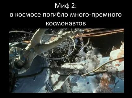 Космическая ты погубила мою сосну