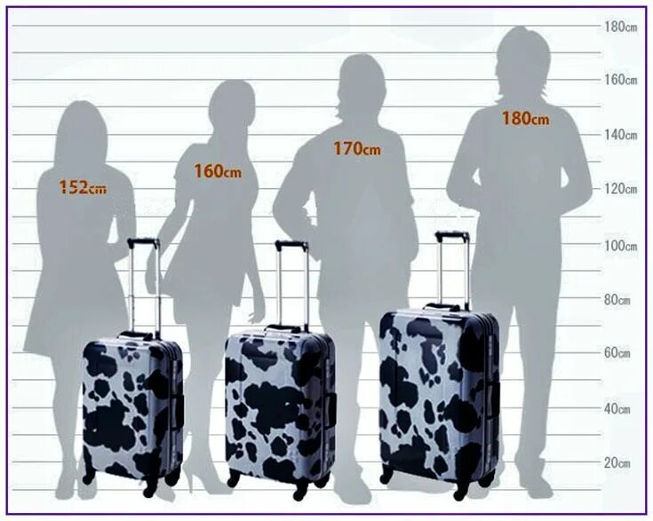 Размер чемодана. Размер чемодана рядом с человеком. Размеры чемоданов. Чемодан размер с габариты. 40 см сравнение