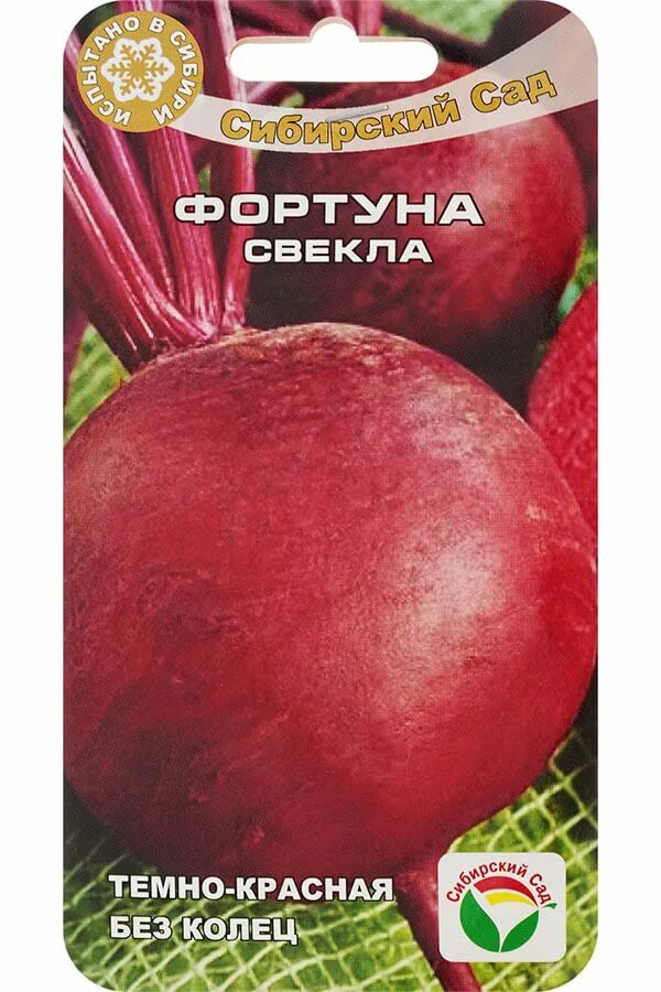 Сорт фортуна. Свёкла неприхотливые сорта. товарные сорта свеклы:. удача свекла. сорта свеклы самые лучшие без светлых колец.