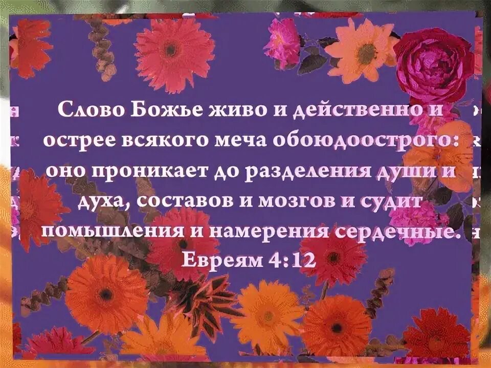 Слово божье живо и действенно открой стикер. Слово живо и действенно острее. Слово божье острее всякого меча обоюдоострого. Слово живо и действенно острее. Слово божие острее меча обоюдоострого.