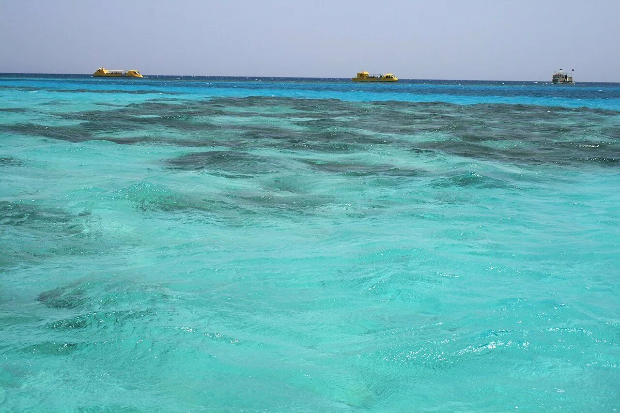 Остров утопия Хургада. Красное море Хургада. Красное море побережье. Египет океан.