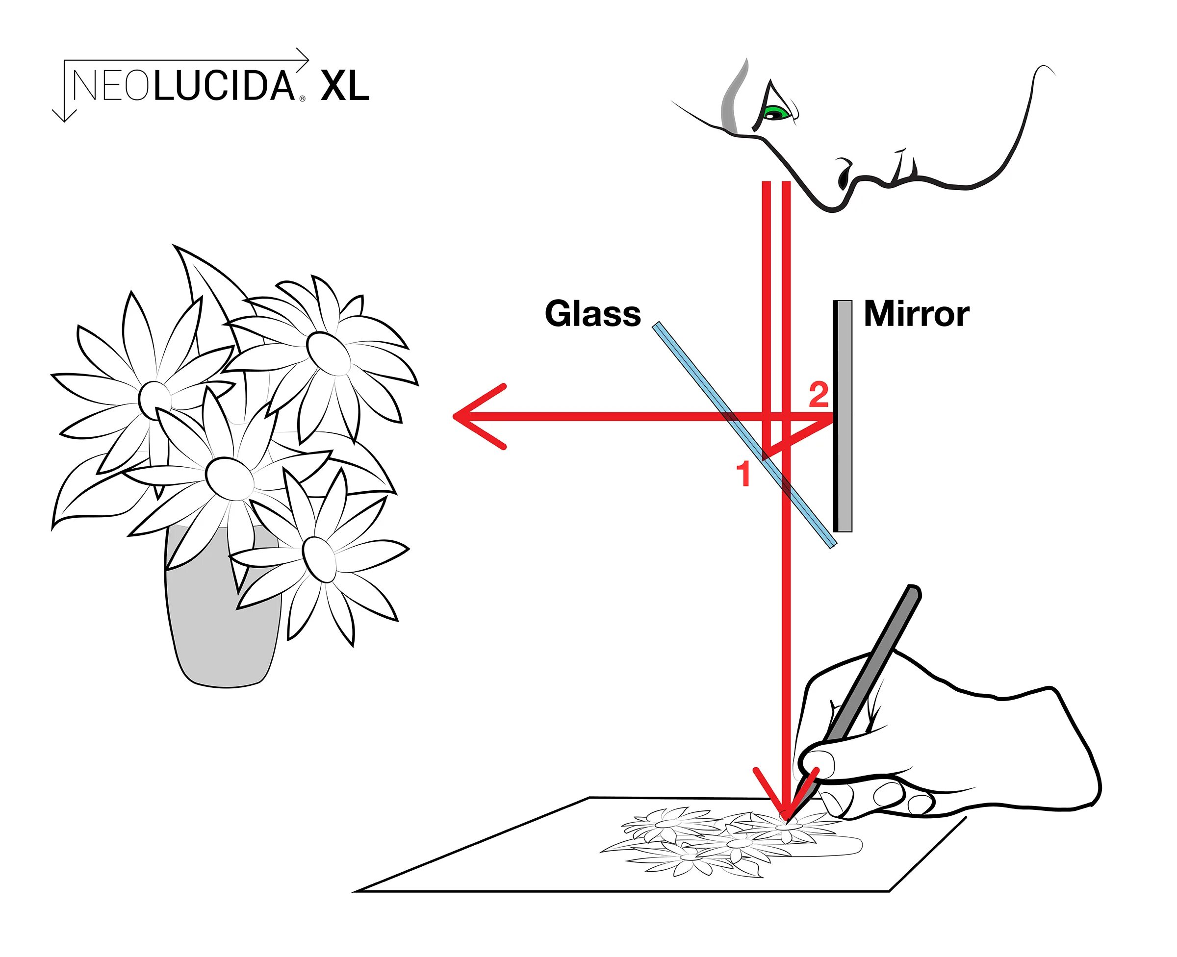 Camera lucida. Camera lucida