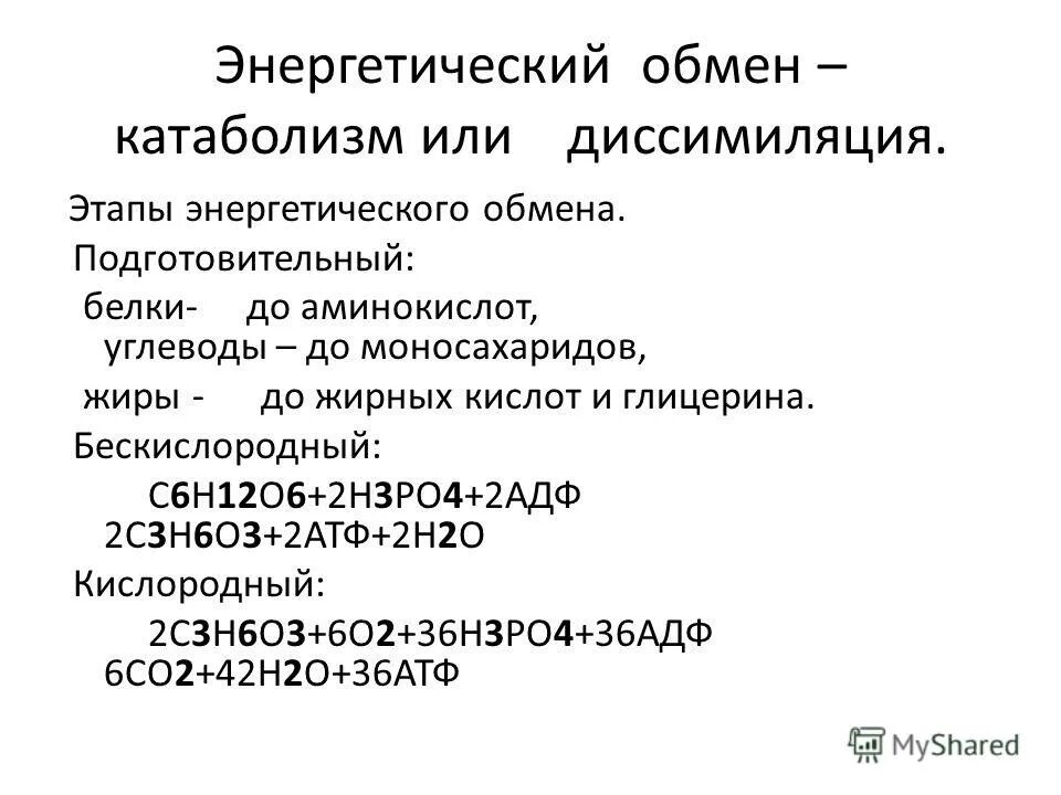 Этапы диссимиляции. Энергетический обмен диссимиляция этапы. Подготовительный этап диссимиляции.