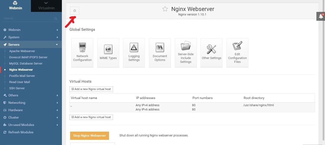 Nginx host. Nginx webmin. webmin ftp сервер. темы webmin. webmin службы.