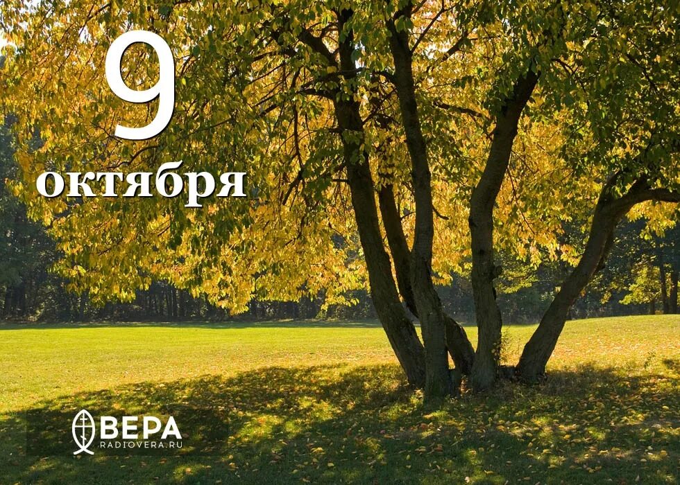 6 9 октября. 9 Октября. 9 Октября день Ефрема. 9 Октября 2016.