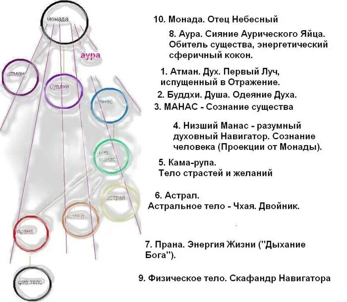 Монада медицинский. Монада. Структура монады. Монада души духа. Человеческая Монада.