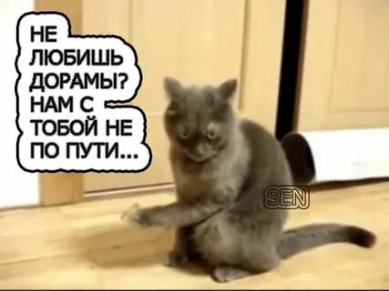 Получил зарплату видео