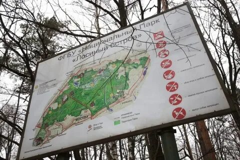 Территория лосиного острова
