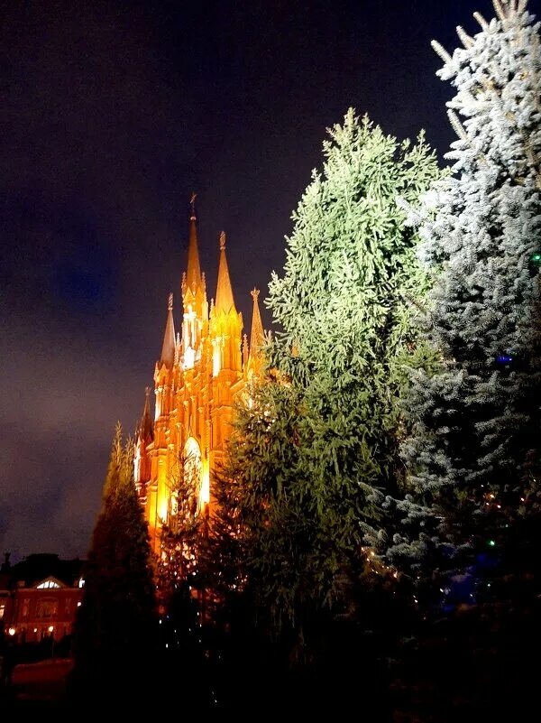 рождество в вашингтоне фильм. рождество в католической церкви. храм непорочного зачатия пресвятой девы марии (смоленск). почему на западе рождество 25 декабря. с рождеством католическим.