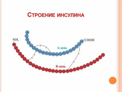 Химический элемент в инсулине и тестостероне