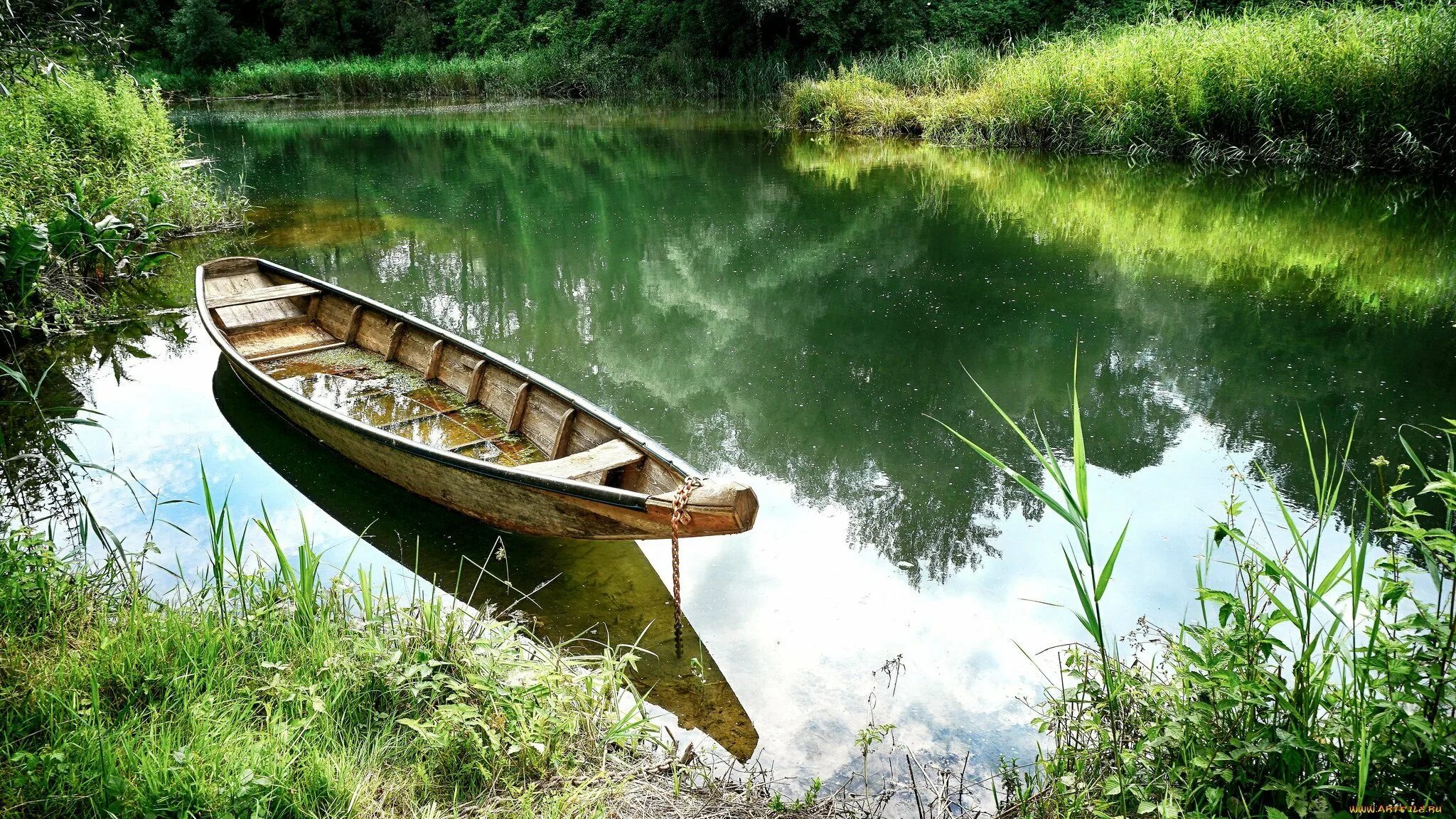 Лодка на реке. Лодка на пруду. Лодка на речке. Речной пейзаж. Березовая лодка