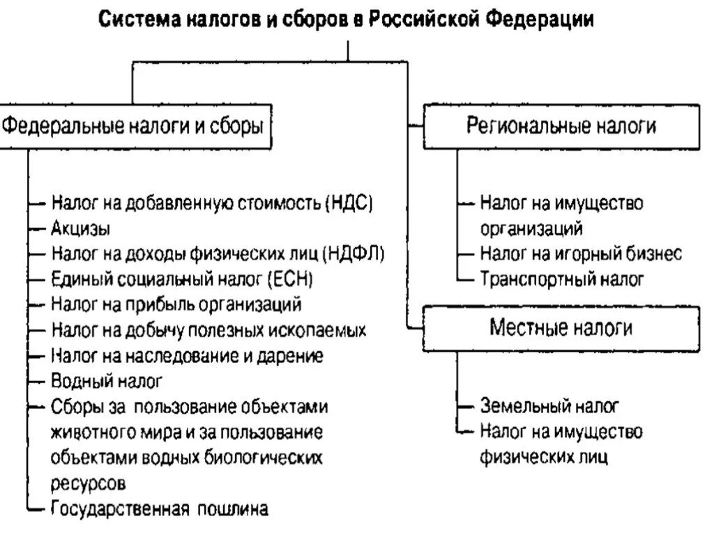 Курортный налог это какой налог. Система налогов и сборов в РФ схема. Система налогов и сборов в РФ. Федеральные налоги и сборы.. Структуру налоговой системы РФ по налоговому кодексу схема. Федеральные налоги и сборы схема.