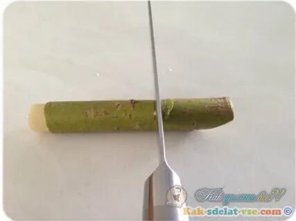 Свистулька из акации как сделать