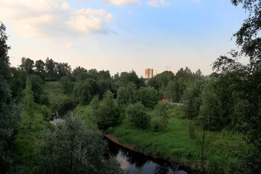 Долина реки охта. Мурино река охта фото. Муринский парк мурино. Набережная реки охта в мурино. Река охта спб.