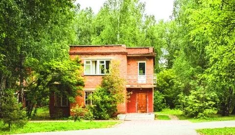 Пансионат лесное сайт