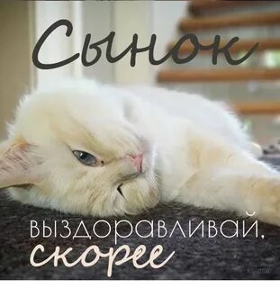 Скорейшего выздоровления сына