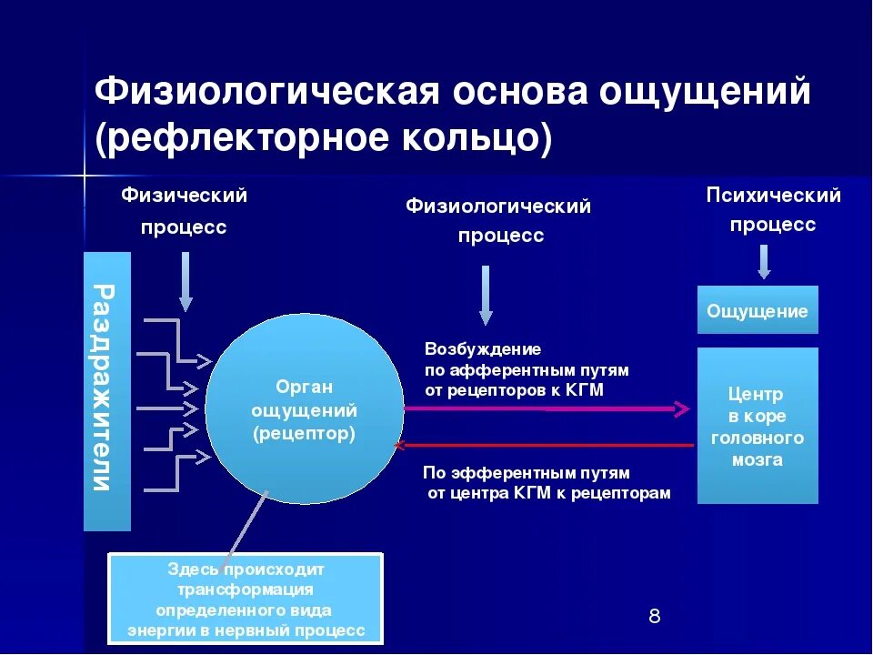 Общие признаки ощущения и восприятия. Физиологическая основа ощущений. Физиология ощущений и восприятия. Физиологической основой ощущений является. Физиологические основы восприятия.