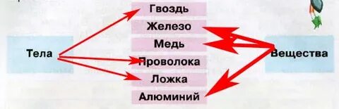 Укажи стрелками какие