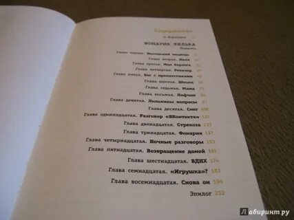 Записки старого петербуржца фонарики сударики