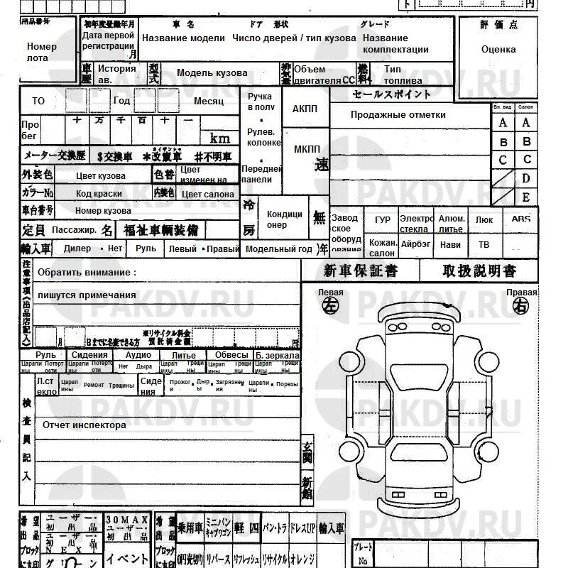 Расшифровка аукционника. Как расшифровать японский Аукционный лист автомобиля из Японии. Расшифровка аукционного листа из Японии автомобиля. Аукционный лист расшифровка Япония. Расшифровка аукционного листа японского автомобиля Япония.