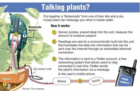Plants talk