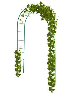 Интернет арка