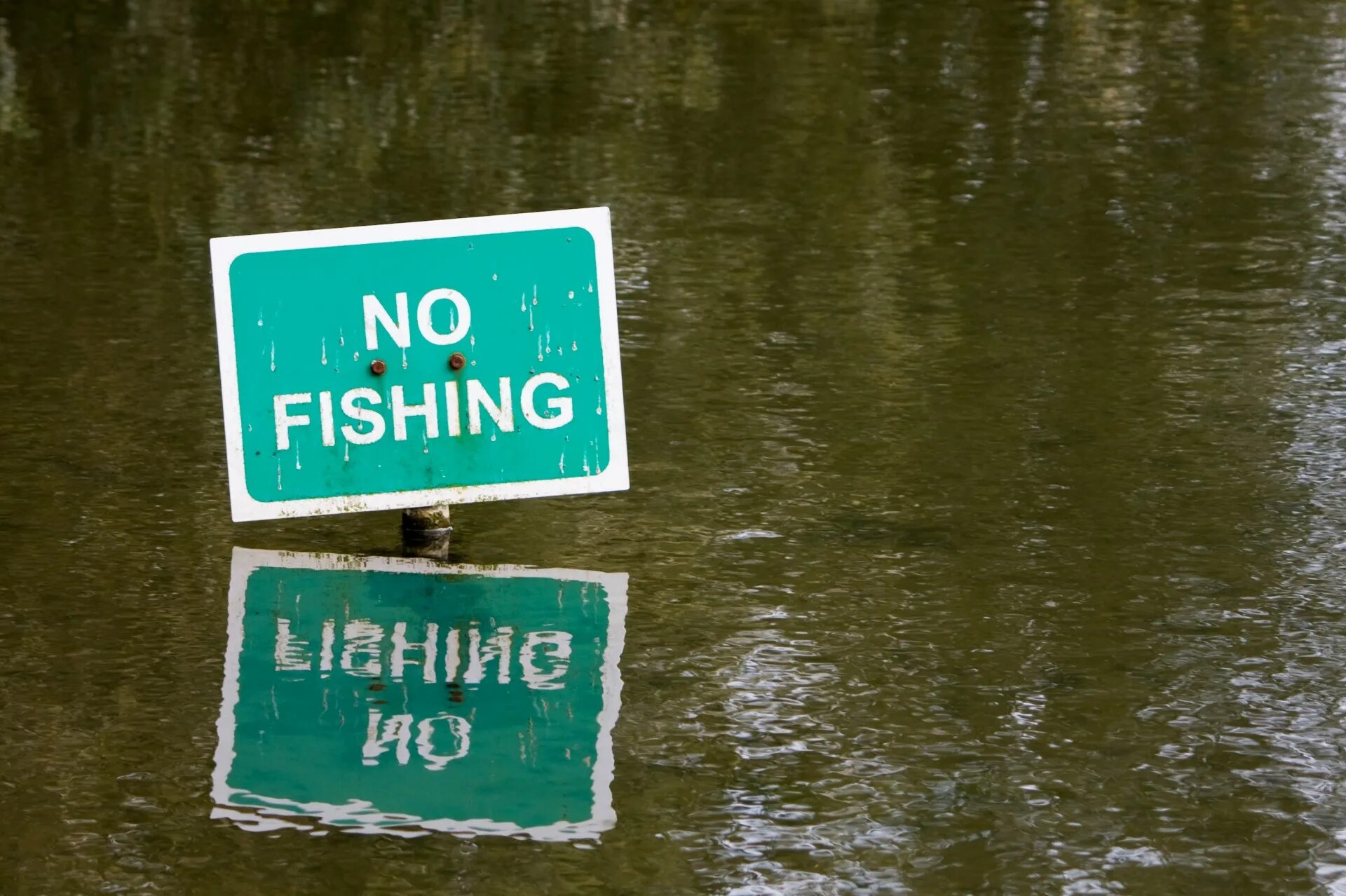 No Fishing. Знак no Fishing. No Fishing sign. Рыбалка запрещена.