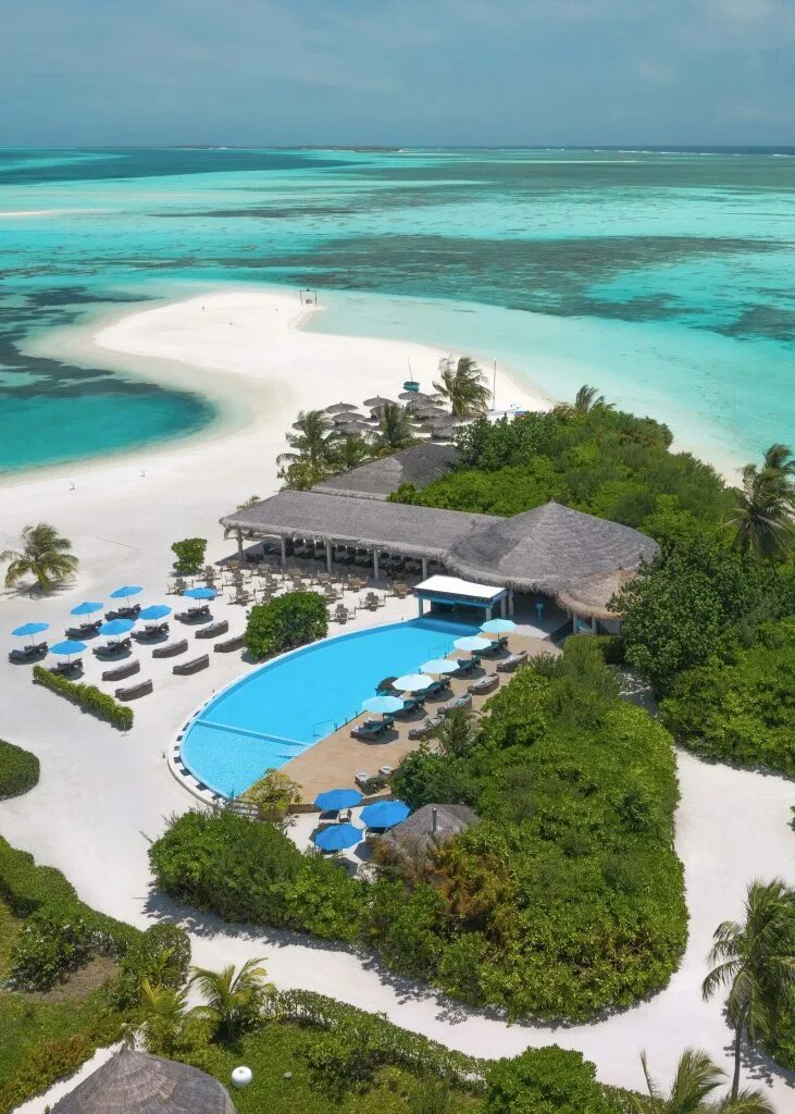 Cocoon maldives. Отель на мальдивах cocoon maldives. мальдивы кокон кокон мальдивы. кокон мальдивы 5 звезд. лавийани атолл мальдивы.